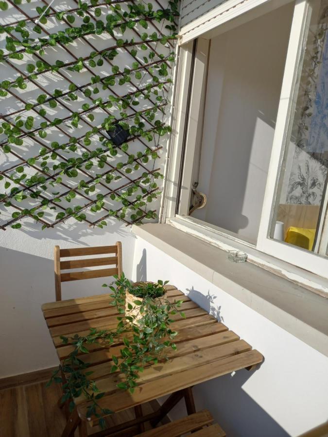 فندق Savana House بينيش المظهر الخارجي الصورة